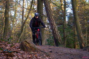 Stevens E-Sledge+: eMTB mit 160-Millimeter-Fahrwerk und Shimano Steps E8000 im Test