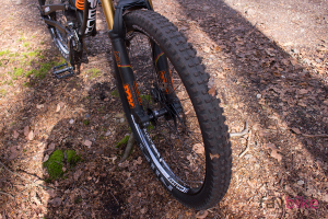 Hope Tech 35W: Robuste Enduro-Laufräder mit breiter Felge im Dauertest